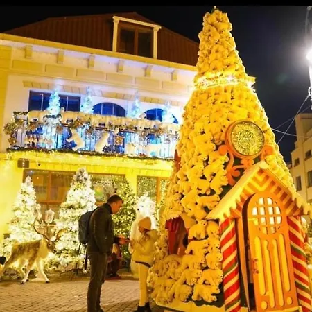 Central Home * Craiova