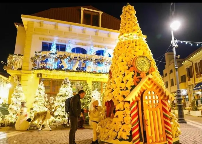 Central Home * Craiova