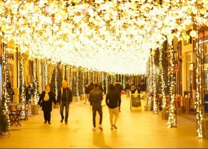 Central Home Daire Craiova