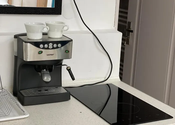 Central Home Daire Craiova